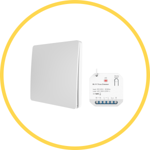 RF & Wifi Smart Switch