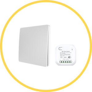RF & Wifi Smart Switch